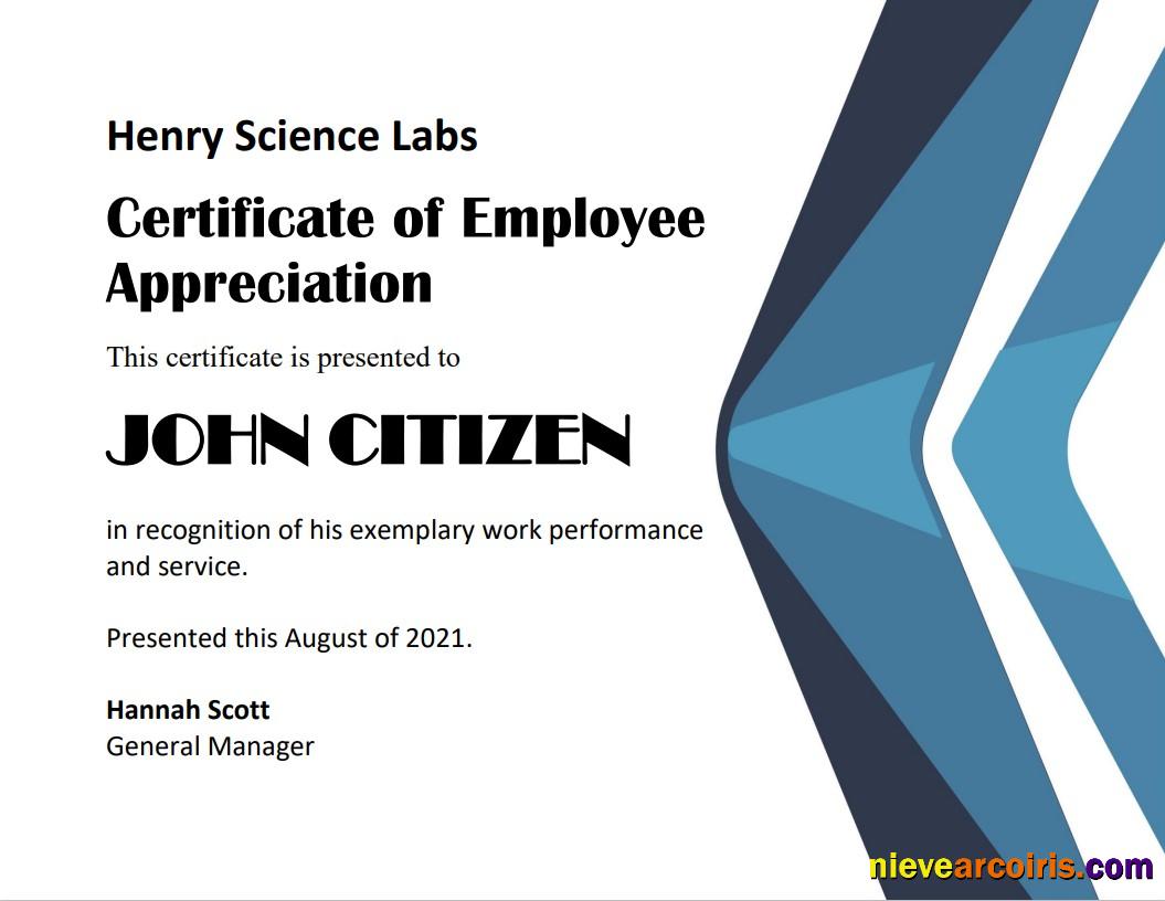 USA Employee Appreciation cert Version 2